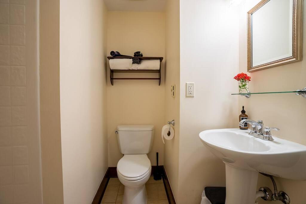 Charming 1Bd Suite In Capitol Hill - Foxglove Inn Seattle Buitenkant foto